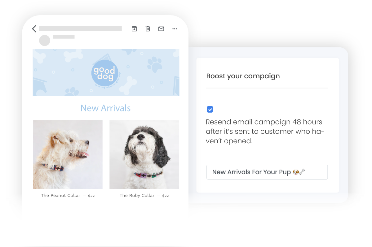 Email campaign boost settings