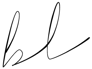 Bopple and Lace Logo