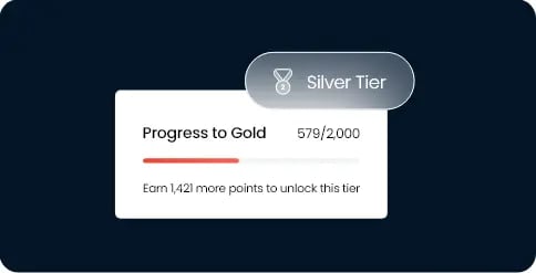 Loyalty program VIP tiers