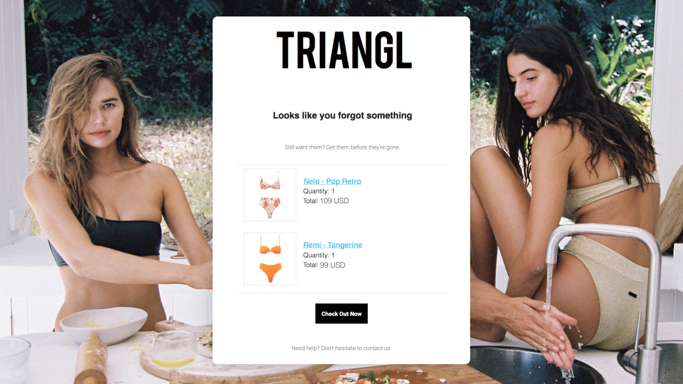 triangls-abandoned-cart-email