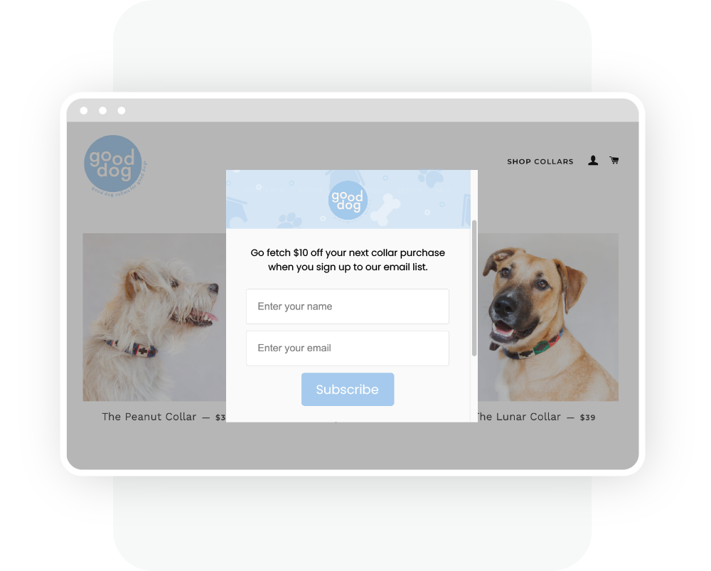 Landing page form for a dog collar company offering $10 off at sign up