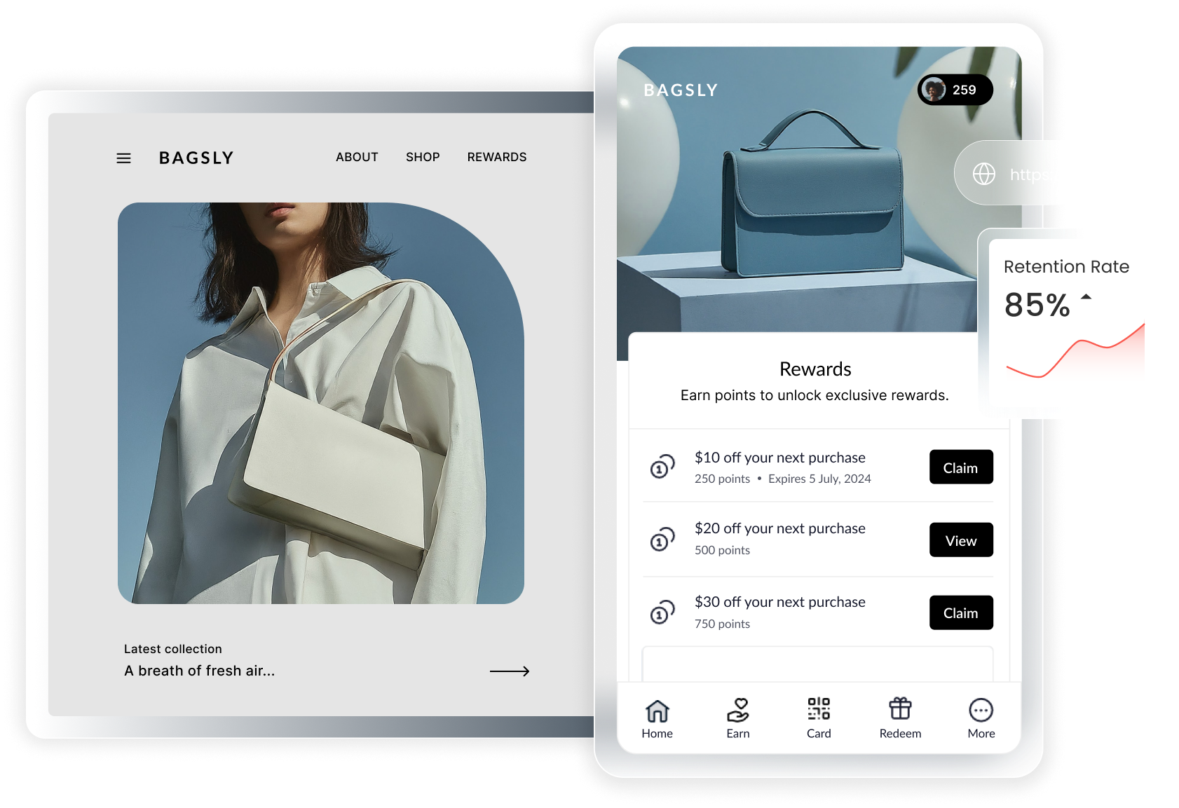 bagsly-loyalty-program-and-ecommerce-store